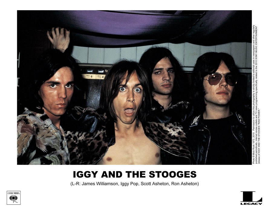 thumbnail image 2 of Iggy Pop Sticker – The Passenger, The Stooges, Punk Rock Icon – Made In UK 2 of 6