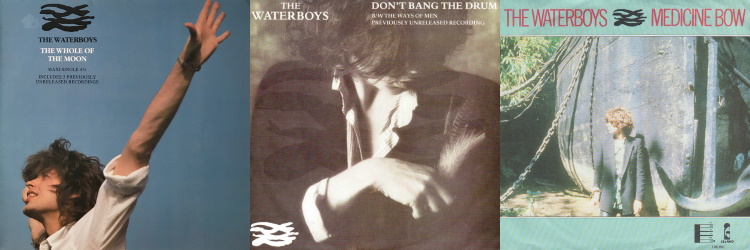 The Waterboys - This Is The Sea - Singles (discogs.com)