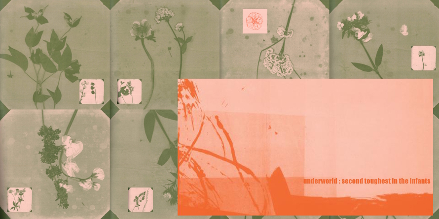 Underworld - Second Toughest In The Infants - Remastered Super Deluxe Edition (discogs.com)