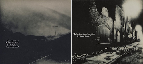 Rain Tree Crow - Rain Tree Crow - Binnenhoes 2003 remaster (discogs.com)